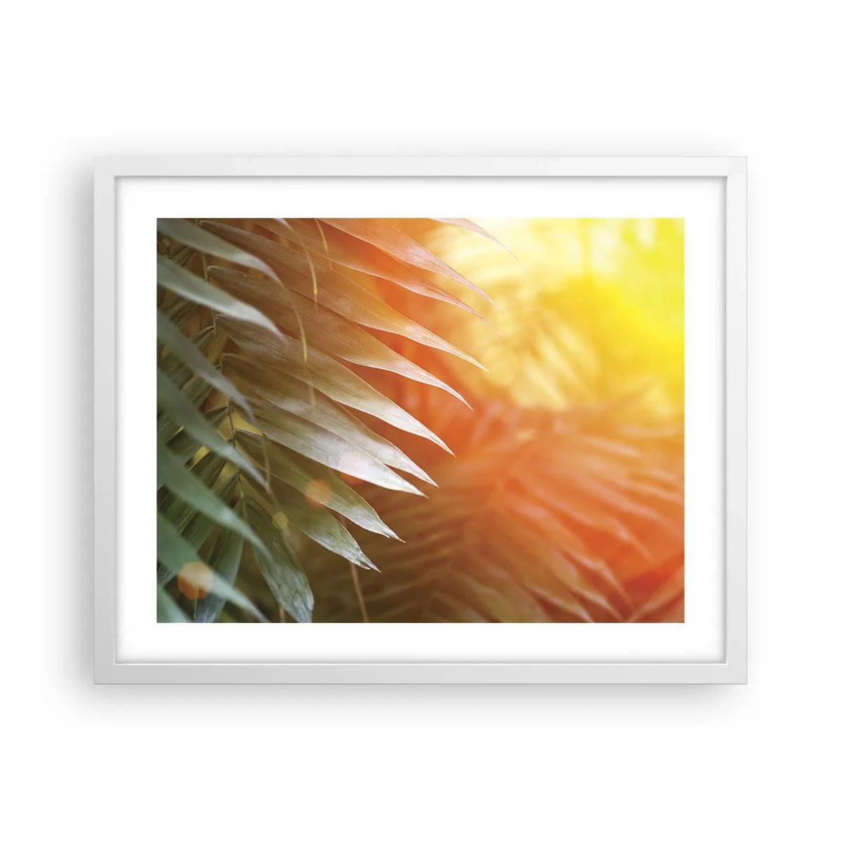 Póster en marco blanco - Mañana en la selva - 50x40 cm
