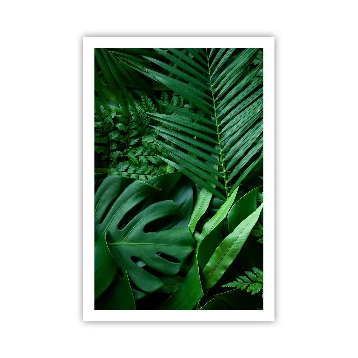 Póster - Abrazo verde - 61x91 cm