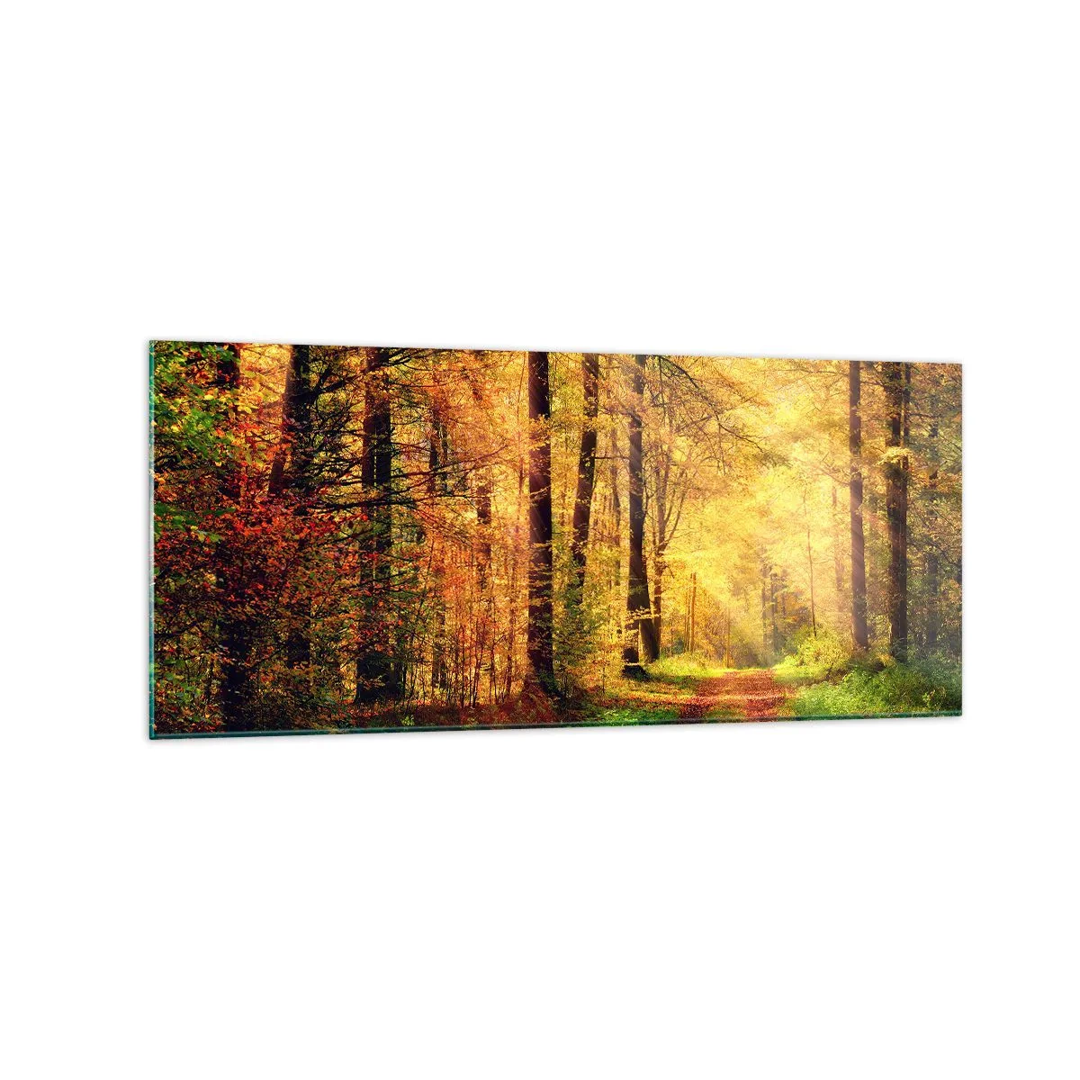 Cuadro sobre vidrio - Impresiones sobre Vidrio - Un sendero forestal rodeado de árboles dorados y verdes. - 120x50cm - Silencio dorado del bosque - Decoración de pared moderna para salón y dormitorio ARTTOR