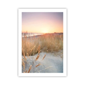 Póster - Las hierbas de las dunas iluminadas por el sol poniente - 50x70cm - Dulce nana del Báltico - Decoración de pared moderna para salón y dormitorio ARTTOR