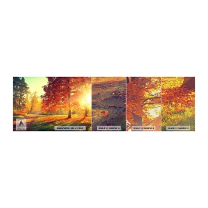Muestra de fotomural Premium Canvas - El rojo es hermoso - Paisaje, Parque, Naturaleza - 100x30 cm