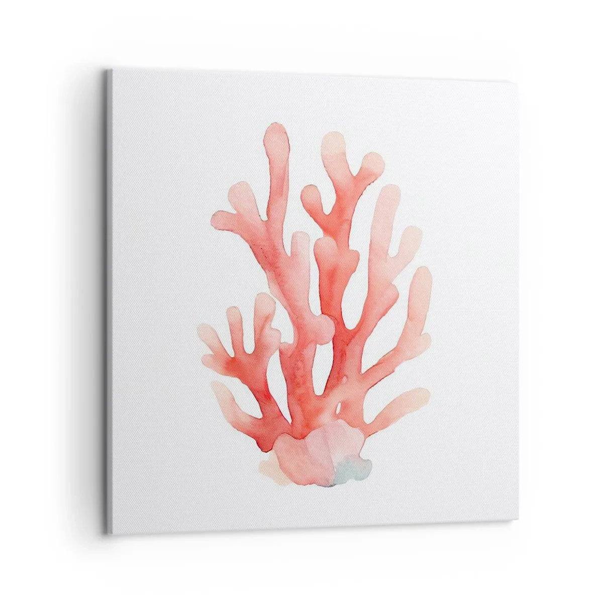Cuadro sobre lienzo - Impresión de Imagen - La hermosura del color coral - 50x50 cm