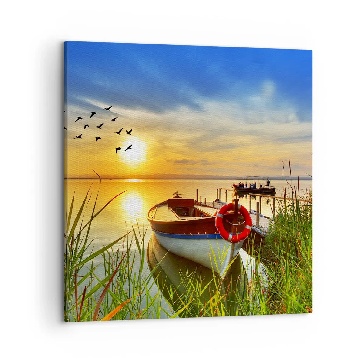 Cuadro sobre lienzo - Impresión de Imagen - Los cormoranes están volando - 50x50 cm