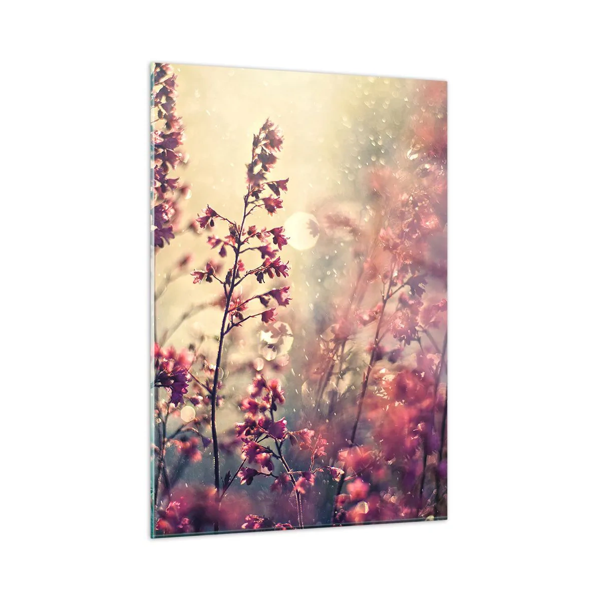 Cuadro sobre vidrio - Impresiones sobre Vidrio - Flores bajo la luz del sol bajo la suave lluvia. - 50x70cm - Jardín secreto - Decoración de pared moderna para salón y dormitorio ARTTOR