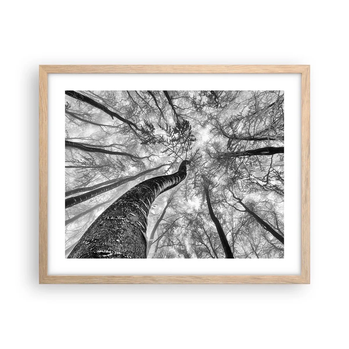 Póster en marco roble claro - Carrera hacia la luz - 50x40 cm