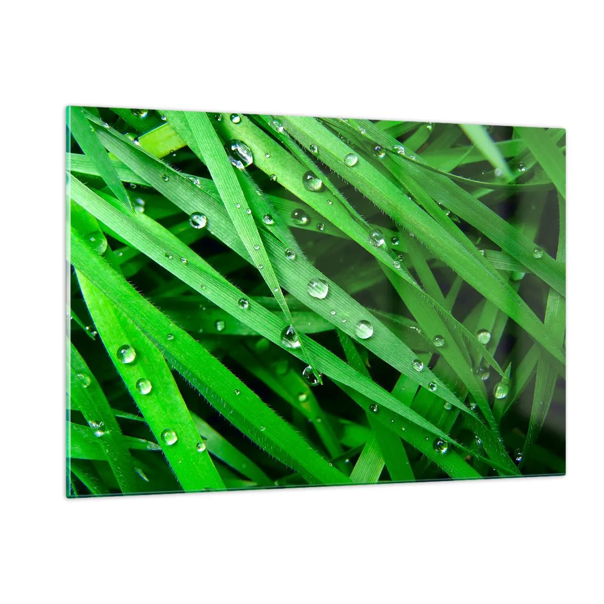 Cuadro sobre vidrio - Impresiones sobre Vidrio - Hojas verdes de hierba con gotas de rocío - 120x80cm - Jugar al verde - Decoración de pared moderna para salón y dormitorio ARTTOR