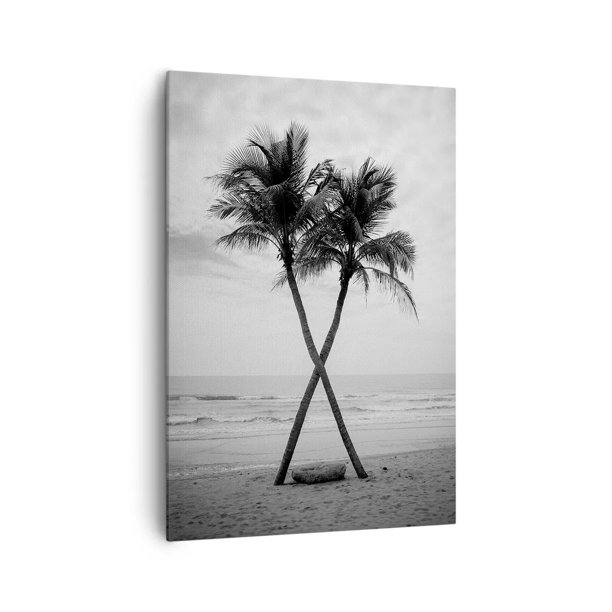 Cuadro sobre lienzo - Impresión de Imagen - Las eternas inquilinas de la playa - 70x100 cm