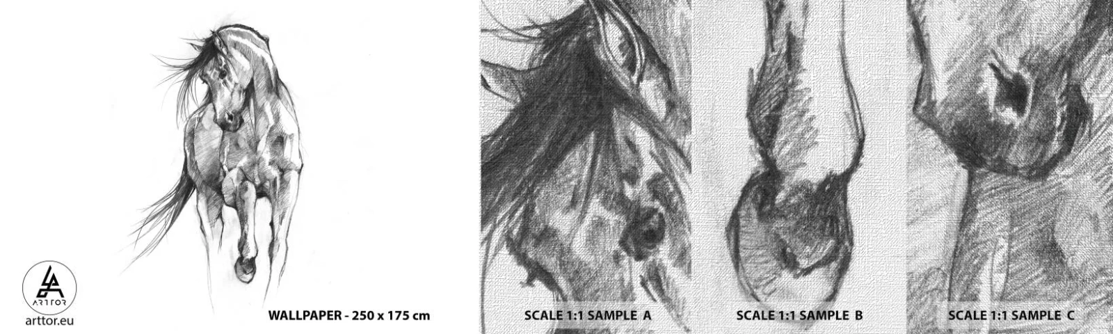 Muestra de fotomural Premium Canvas - En un elegante trote - Caballo, Gráficos, animales - 100x30 cm