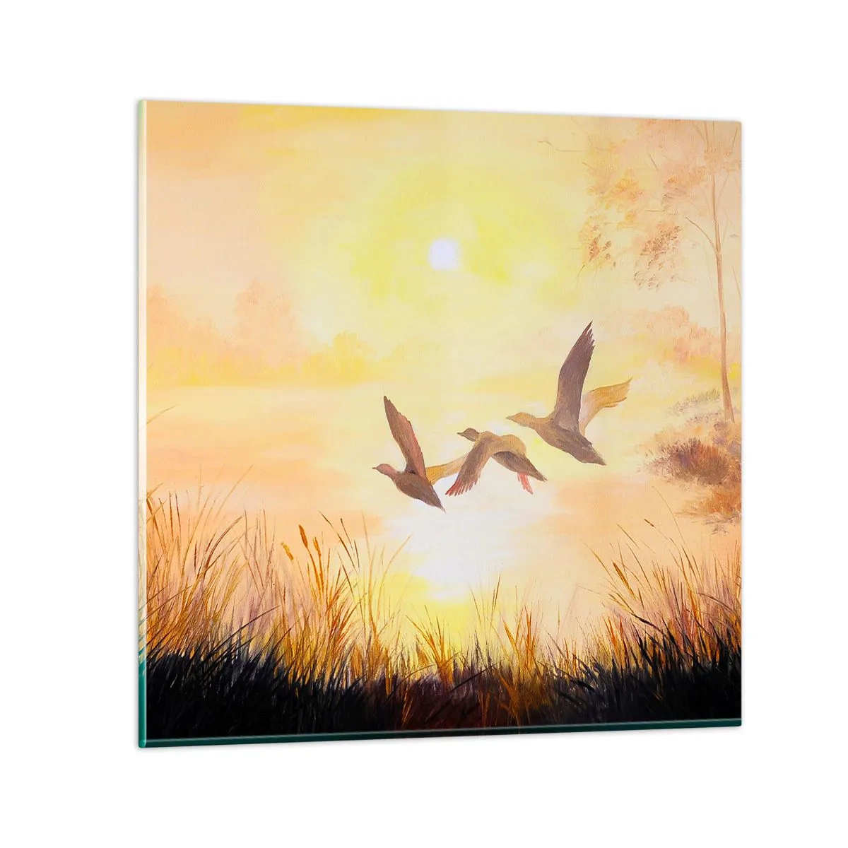 Cuadro sobre vidrio - Impresiones sobre Vidrio - El comienzo de un largo viaje - 40x40 cm