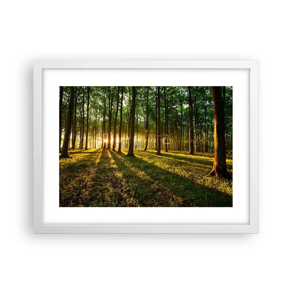 Póster en marco blanco - Una fotografía de todos los manantiales - 40x30 cm