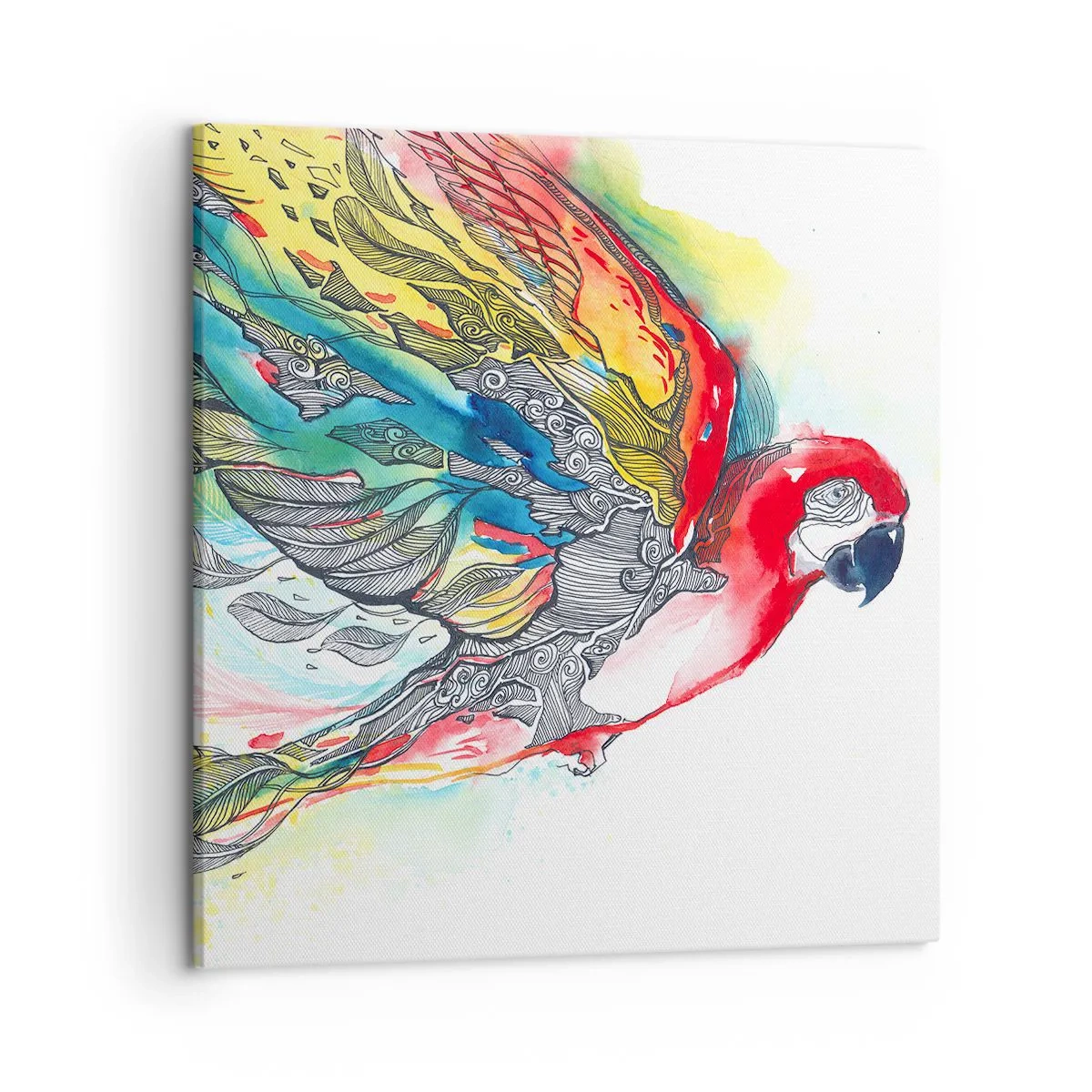 Cuadro sobre lienzo - Impresión de Imagen - Vivir con colorido - 50x50 cm