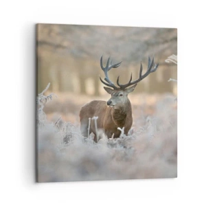 Cuadro sobre lienzo - Impresión de Imagen - Una mañana fresca - 50x50 cm