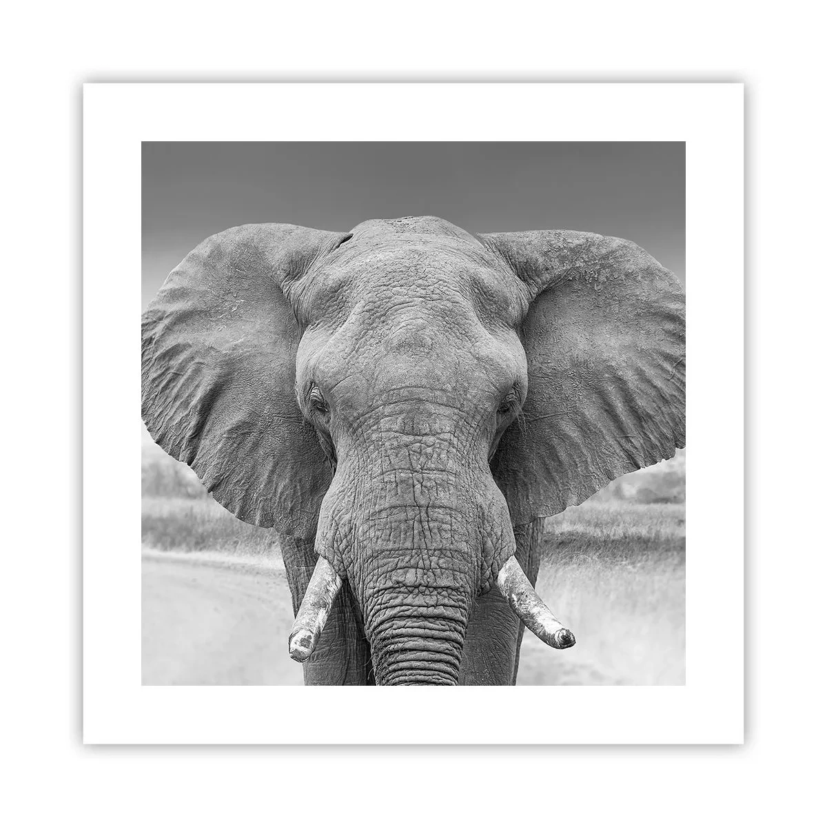 Póster - Bienvenido a mi mundo - 40x40 cm