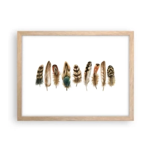 Póster en marco roble claro - Estudio de plumas - 40x30 cm