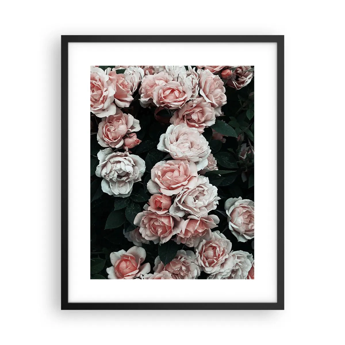 Póster en marco negro - Conjunto de rosas - 40x50 cm