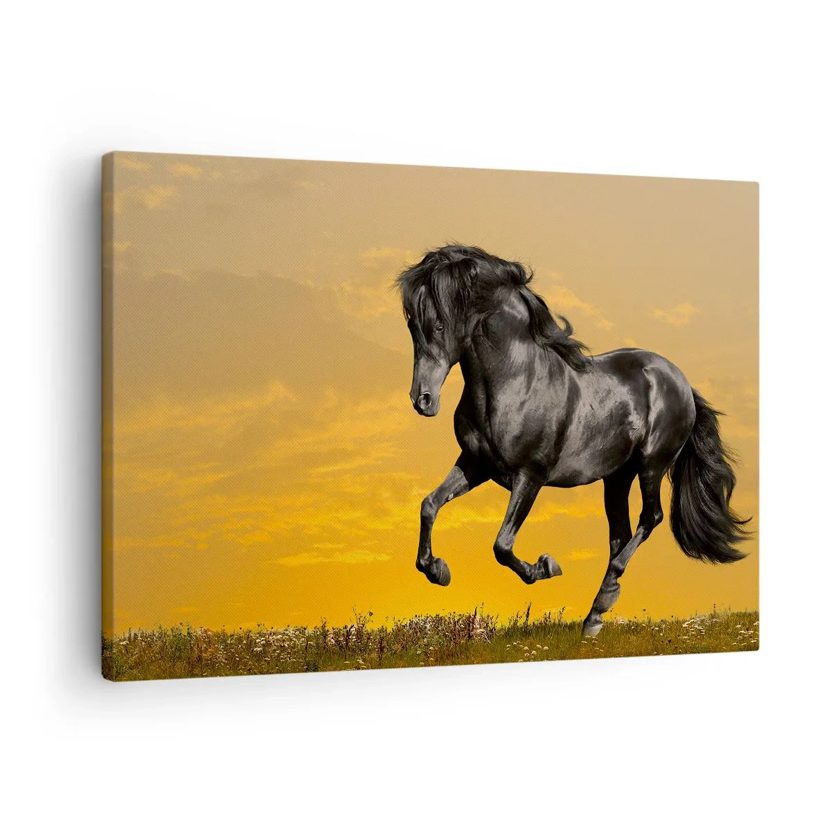 Cuadro sobre lienzo - Impresión de Imagen - Un caballo negro galopa contra el fondo de una puesta de sol dorada. - 70x50cm - Hermoso, libre y salvaje - Decoración de pared moderna para salón y dormitorio ARTTOR
