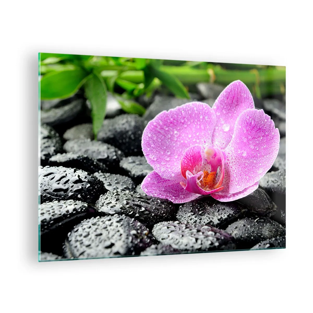 Cuadro sobre vidrio - Impresiones sobre Vidrio - Flor de orquídea rosa sobre piedras negras mojadas - 70x50cm - Como un corazón abierto - Decoración de pared moderna para salón y dormitorio ARTTOR
