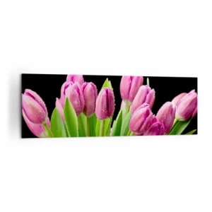 Cuadro sobre lienzo - Impresión de Imagen - Tulipanes rosados con gotas de rocío sobre un fondo negro - 160x50cm - La alegría de la primavera - Decoración de pared moderna para salón y dormitorio ARTTOR