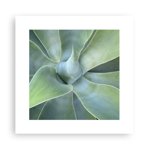 Póster - El nacimiento del verde - 30x30 cm