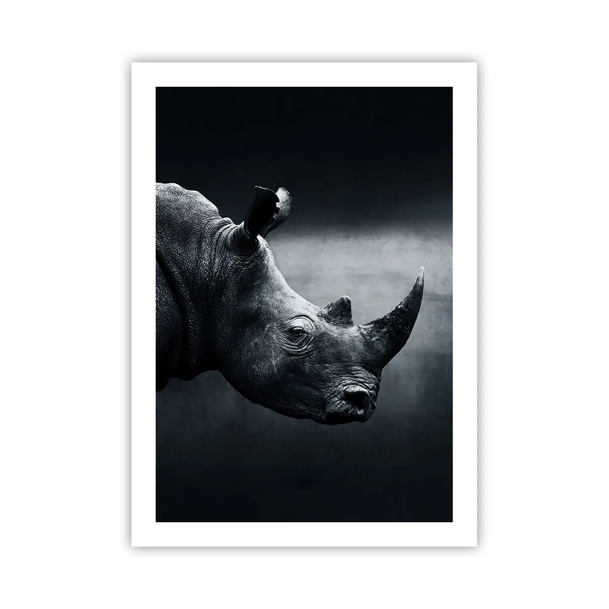Póster - Retrato en blanco y negro de un rinoceronte sobre un fondo oscuro. - 50x70cm - Perfil derecho - Decoración de pared moderna para salón y dormitorio ARTTOR