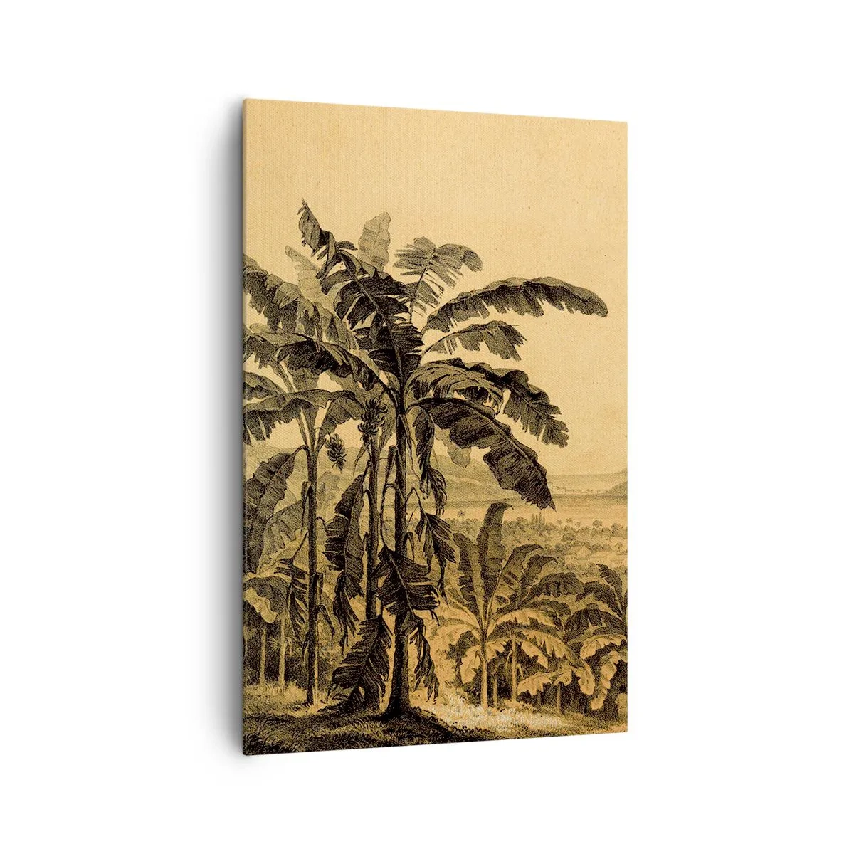Cuadro sobre lienzo - Impresión de Imagen - Dibujo de árboles de plátano sobre un fondo de paisaje tropical. - 80x120cm - En un ambiente colonial - Decoración de pared moderna para salón y dormitorio ARTTOR