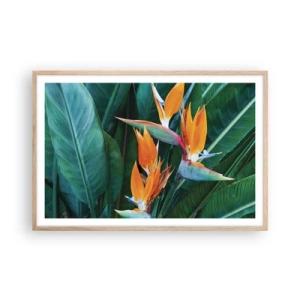 Póster en marco roble claro - ¿Es una flor o es un pájaro? - 91x61 cm