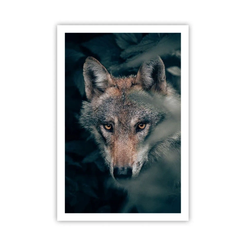 Póster - Cazador - 61x91 cm