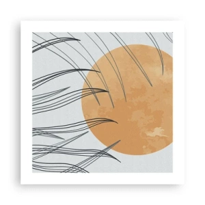 Póster - Siempre hacia el sol - 50x50 cm