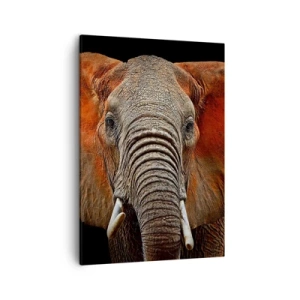 Cuadro sobre lienzo - Impresión de Imagen - Retrato de un elefante sobre fondo negro - 50x70cm - Soy salvaje, ¿y tú? - Decoración de pared moderna para salón y dormitorio ARTTOR