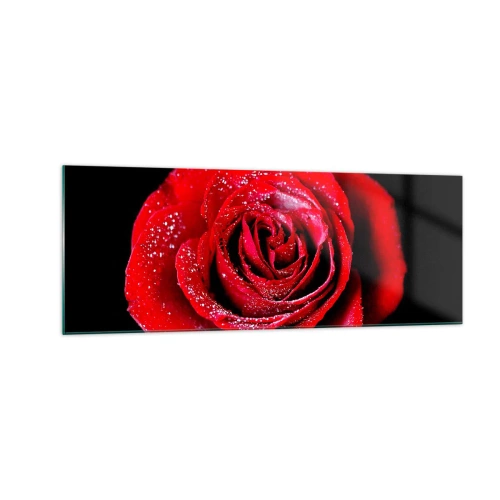 Cuadro sobre vidrio - Impresiones sobre Vidrio - Una rosa roja cubierta de gotas de rocío sobre un fondo negro. - 140x50cm - Eso es el amor - Decoración de pared moderna para salón y dormitorio ARTTOR