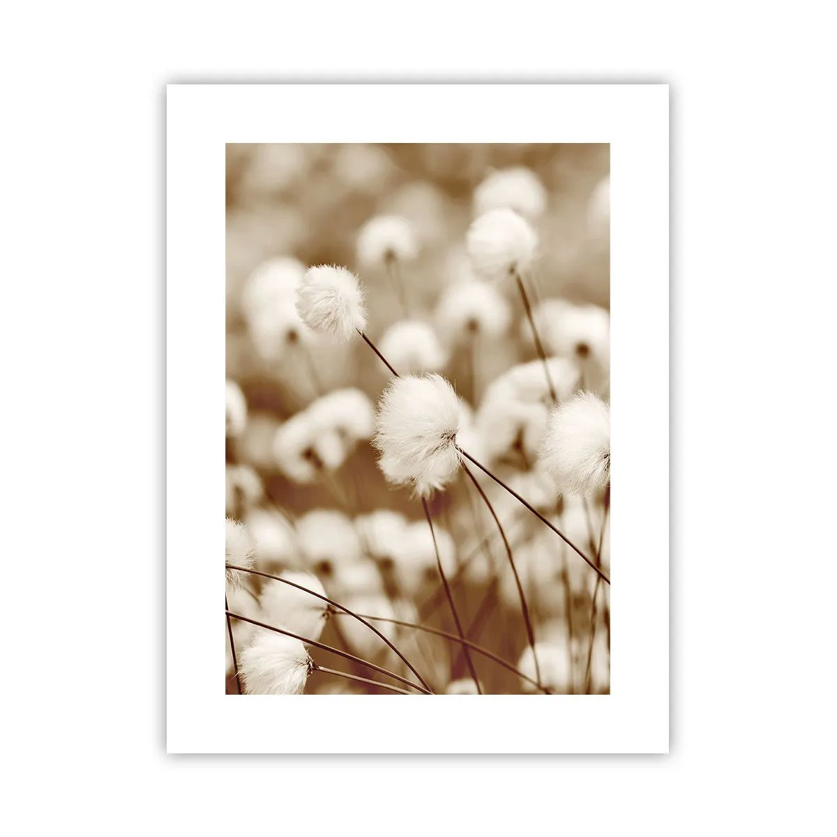 Póster - Un mullido colchón - 30x40 cm