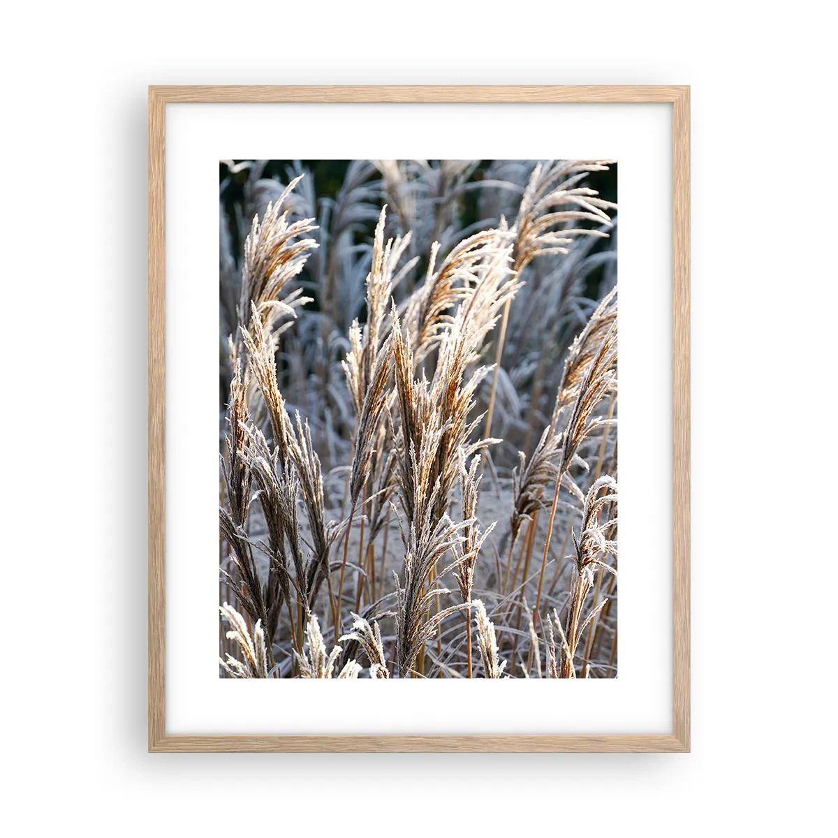 Póster en marco roble claro - Campos y campos - 40x50 cm