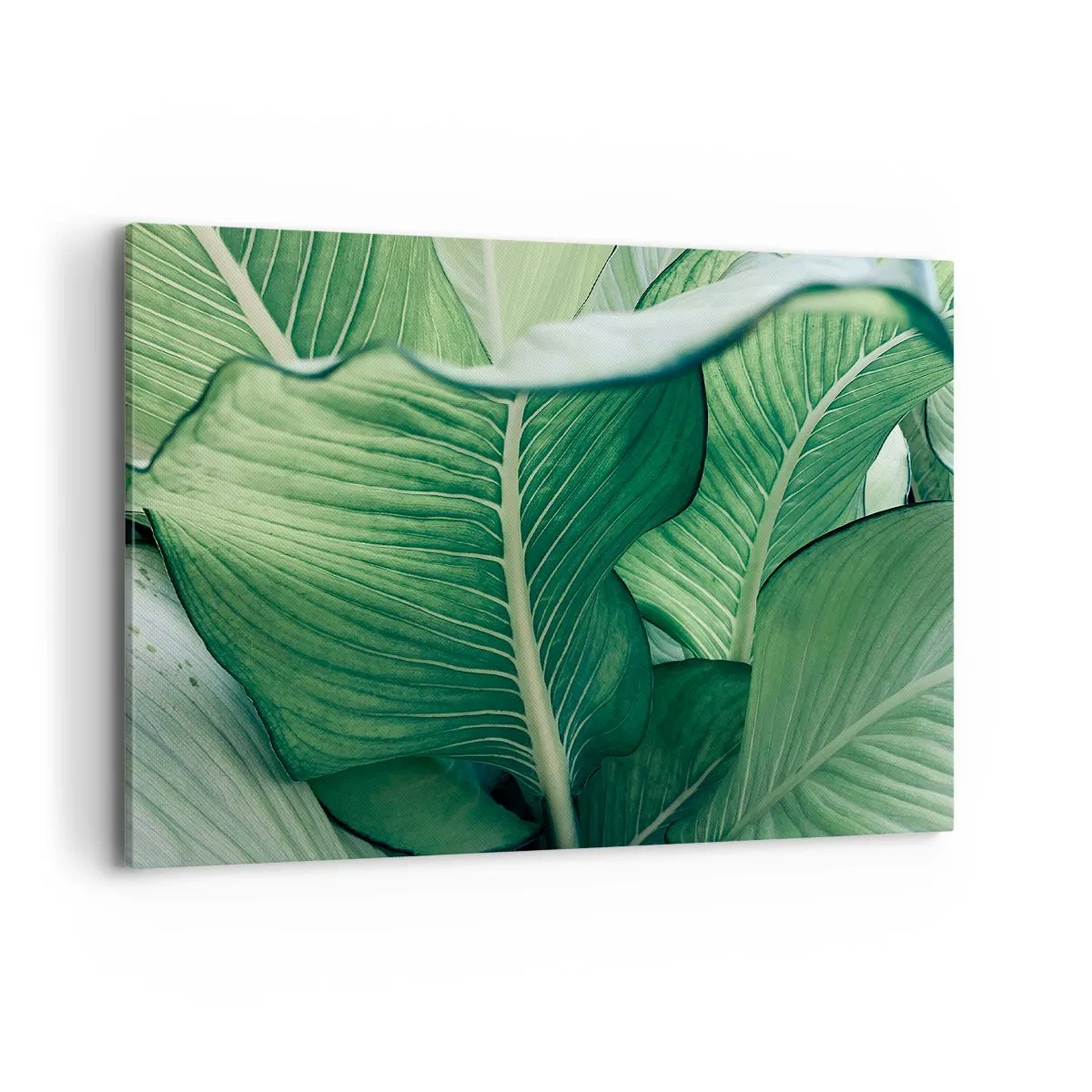 Cuadro sobre lienzo - Impresión de Imagen - Hojas verdes con detalles expresivos y estructura. - 100x70cm - Vida intensamente verde - Decoración de pared moderna para salón y dormitorio ARTTOR