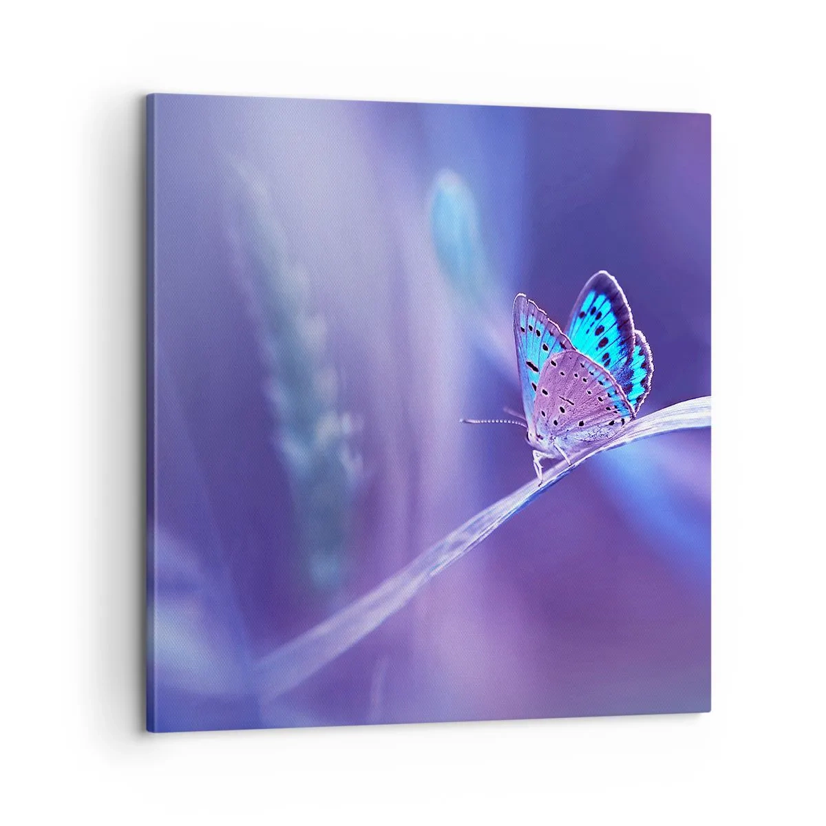 Cuadro sobre lienzo - Impresión de Imagen - Una joya de la naturaleza - 60x60 cm