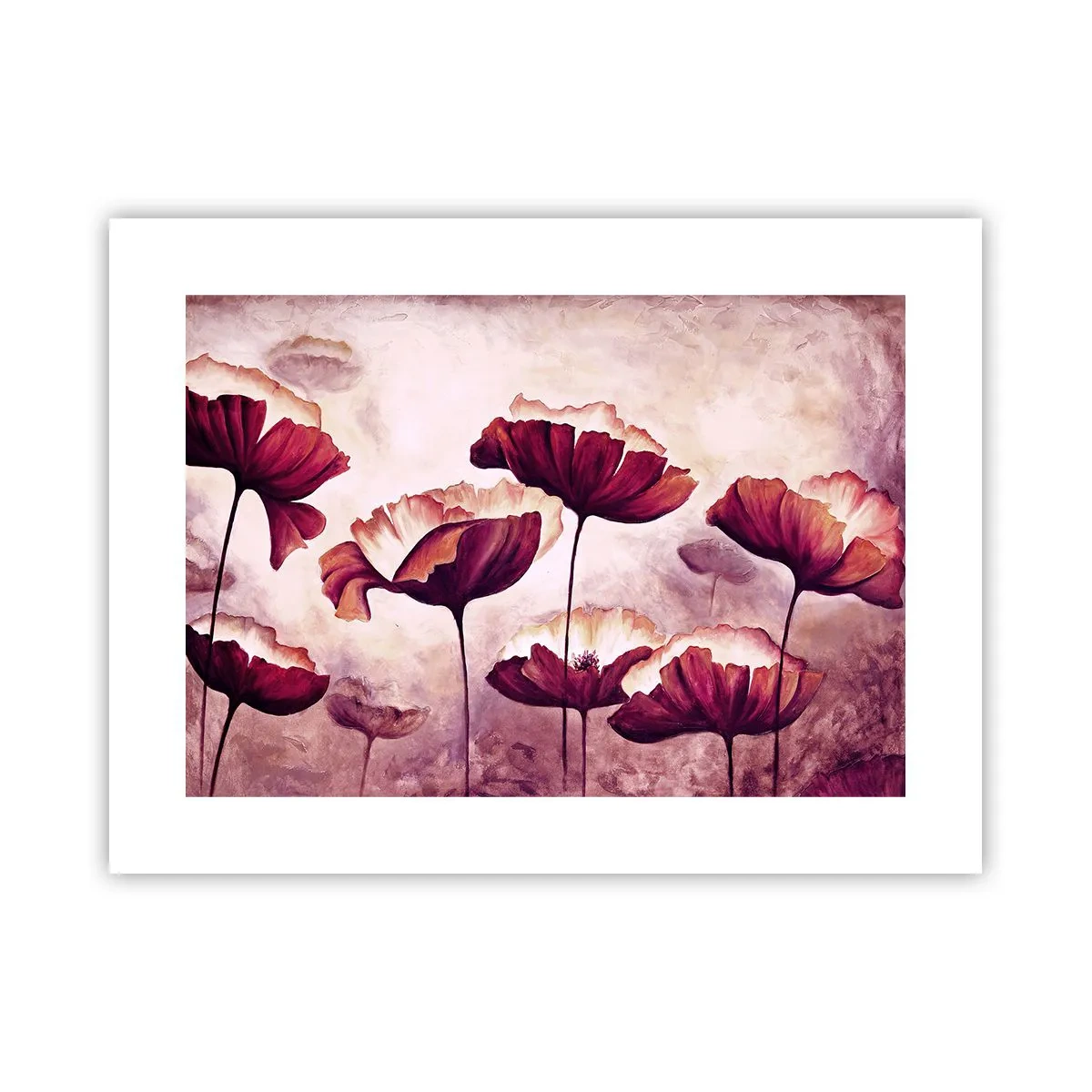 Póster - Pétalo rojo y blanco - 40x30 cm