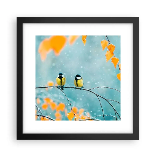 Póster en marco negro - Cotilleo de pájaros - 30x30 cm