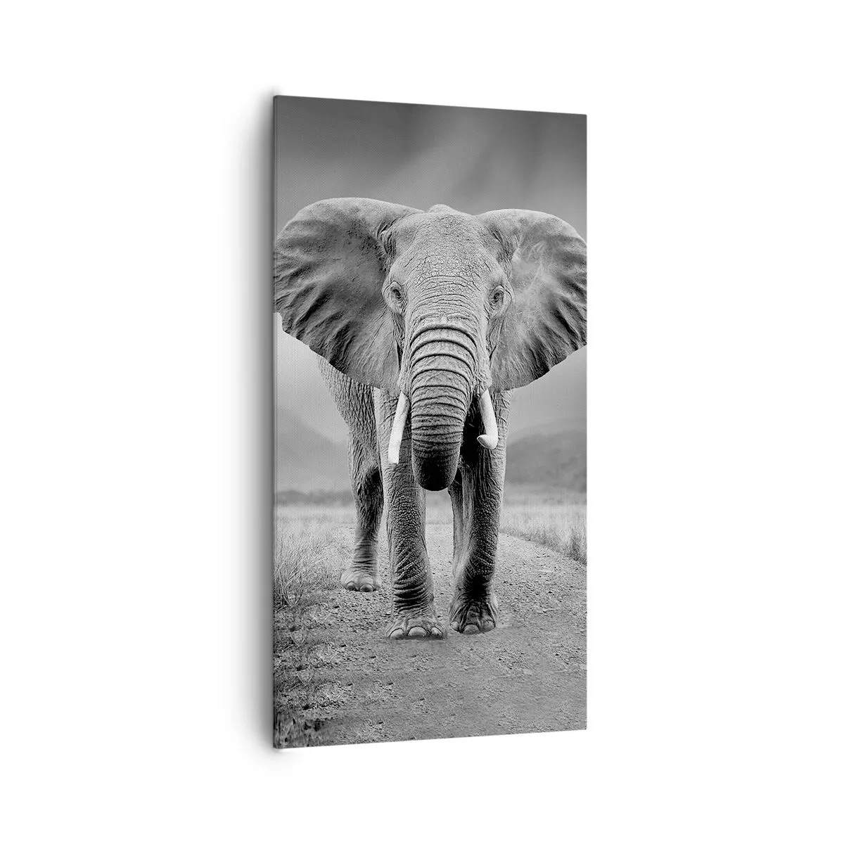 Cuadro sobre lienzo - Impresión de Imagen - El anfitrión da la bienvenida - 65x120 cm