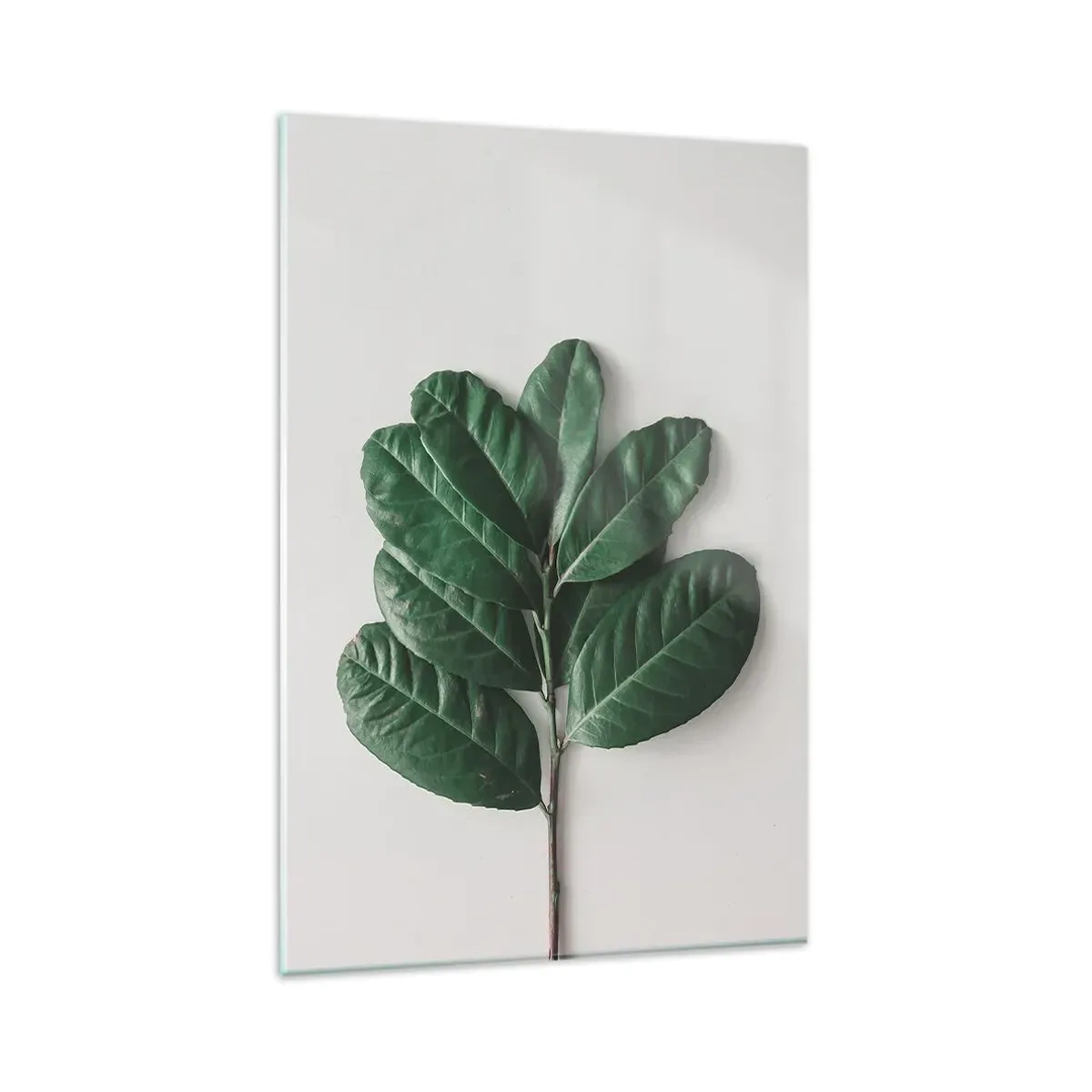 Cuadro sobre vidrio - Impresiones sobre Vidrio - Una ramita de hojas verdes sobre un fondo claro. - 80x120cm - El dibujo de la propia naturaleza - Decoración de pared moderna para salón y dormitorio ARTTOR
