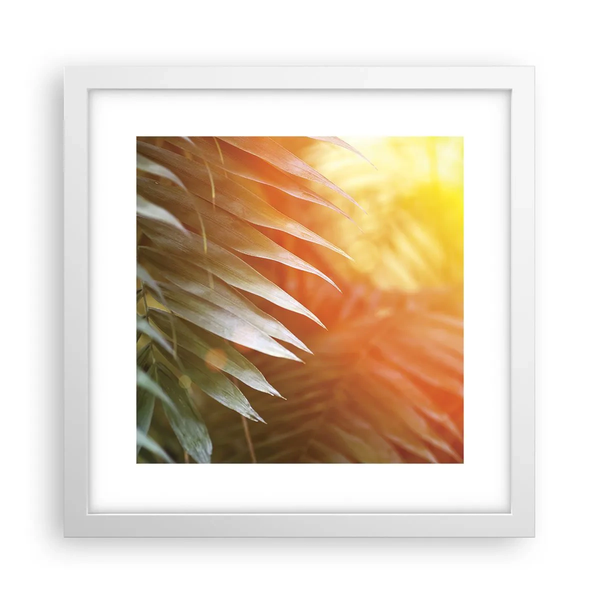 Póster en marco blanco - Mañana en la selva - 30x30 cm