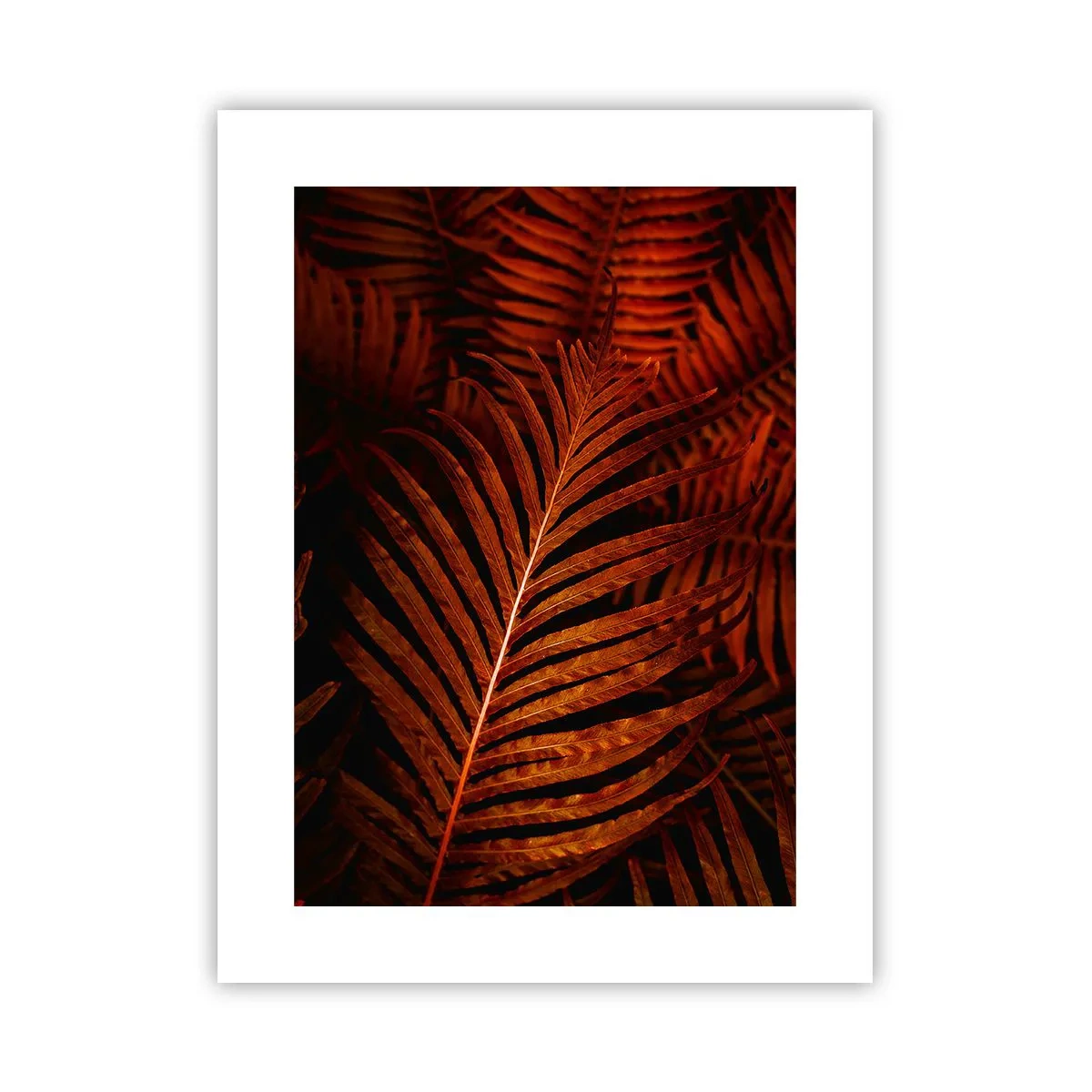 Póster - Las brasas de la vida - 30x40 cm