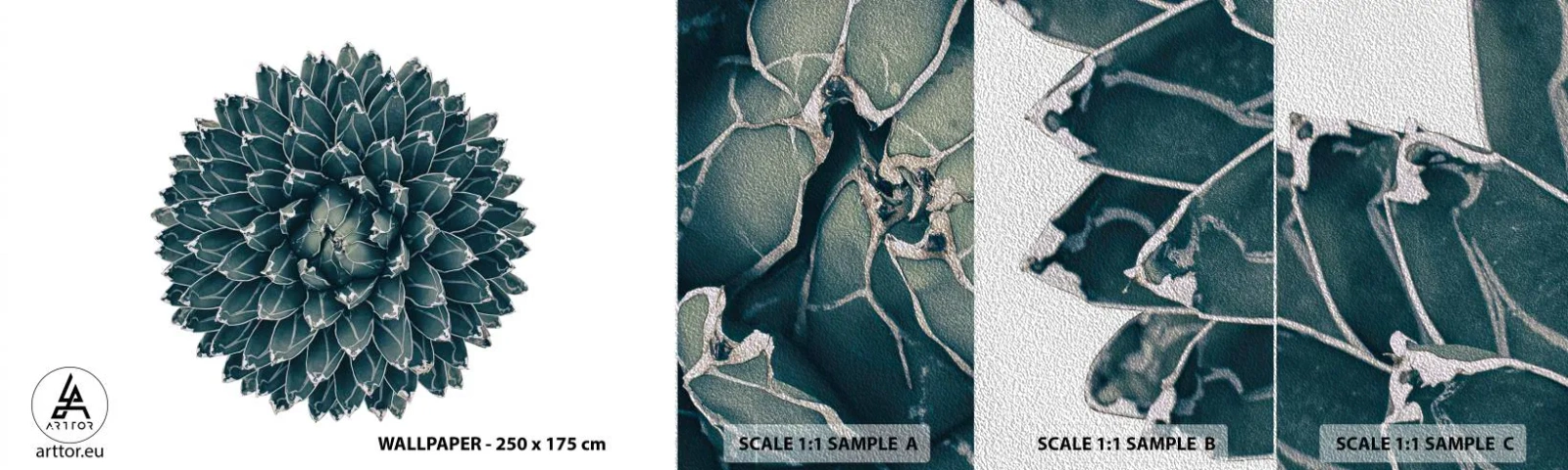 Muestra de fotomural Premium Sand - Estrella del desierto - Cactus, Agave, Gráficos - 100x30 cm