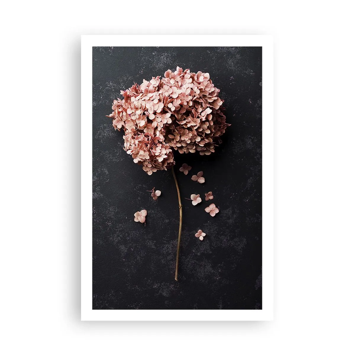 Póster - Un signo verdaderamente romántico - 61x91 cm