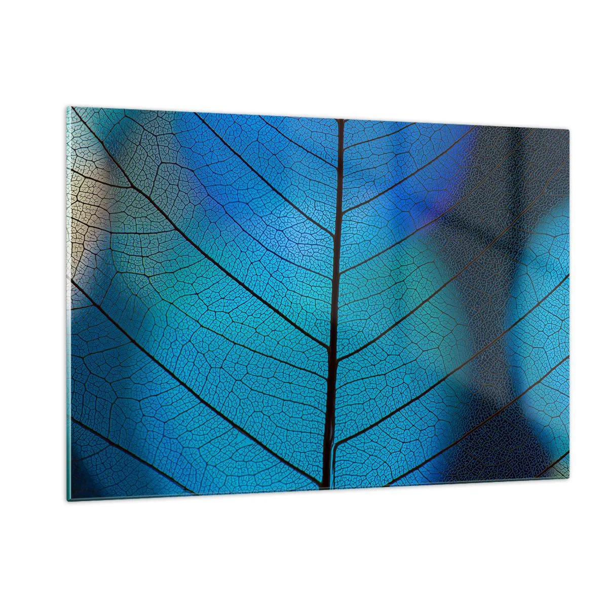 Cuadro sobre vidrio - Impresiones sobre Vidrio - Un primer plano de una hoja azul que muestra la estructura de las nervaduras. - 120x80cm - Construcción intrincada - Decoración de pared moderna para salón y dormitorio ARTTOR