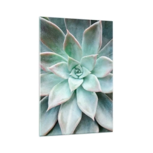 Cuadro sobre vidrio - Impresiones sobre Vidrio - Primer plano de una suculenta verde - 70x100cm - El corazón del desierto - Decoración de pared moderna para salón y dormitorio ARTTOR