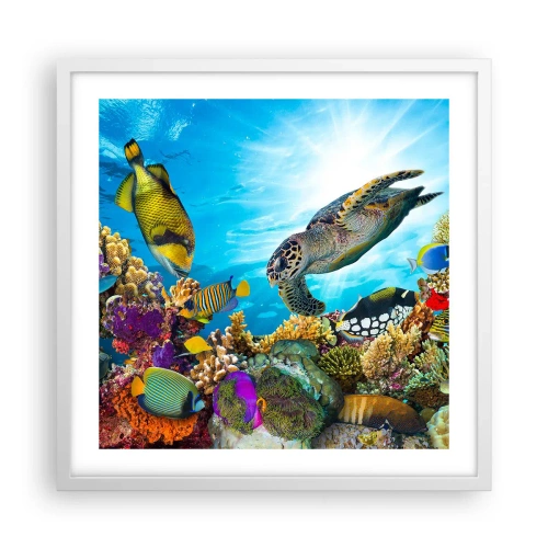 Póster en marco blanco - Paseo del coral - 50x50 cm