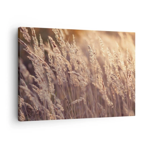 Cuadro sobre lienzo - Impresión de Imagen - Hierbas doradas con el sol poniente como telón de fondo - 70x50cm - Listos para dar la bienvenida al otoño - Decoración de pared moderna para salón y dormitorio ARTTOR