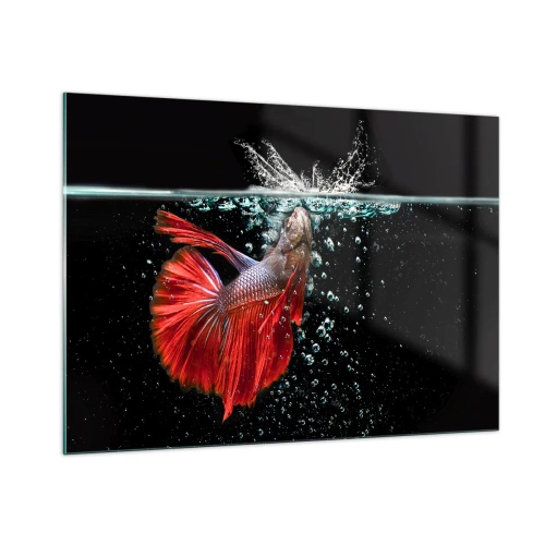 Cuadro sobre vidrio - Impresiones sobre Vidrio - Betta rojo en una composición de agua dinámica - 100x70cm - Tienes tres deseos - Decoración de pared moderna para salón y dormitorio ARTTOR