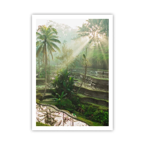 Póster - Crecer bajo el sol - 70x100 cm