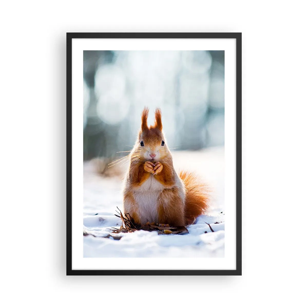 Póster en marco negro - Ardilla en la nieve en el bosque invernal. - 50x70cm - ¿Qué estás mirando? - Decoración de pared moderna para salón y dormitorio ARTTOR