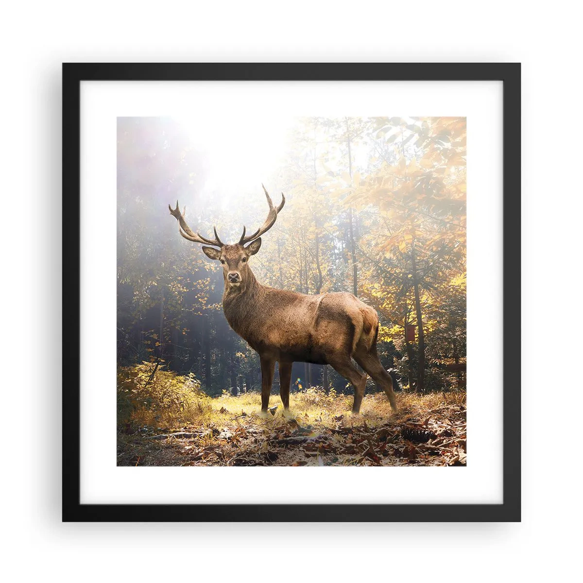 Póster en marco negro - Con toda la majestuosidad - 40x40 cm